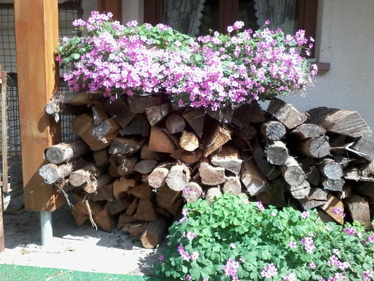 Appartement Urlaub Auf Dem Haenslehof à Elzach Extérieur photo