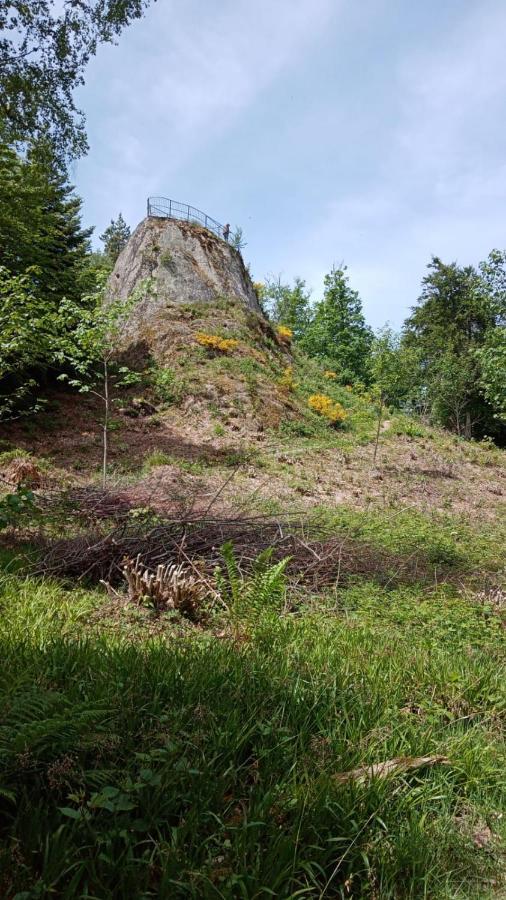 Appartement Urlaub Auf Dem Haenslehof à Elzach Extérieur photo
