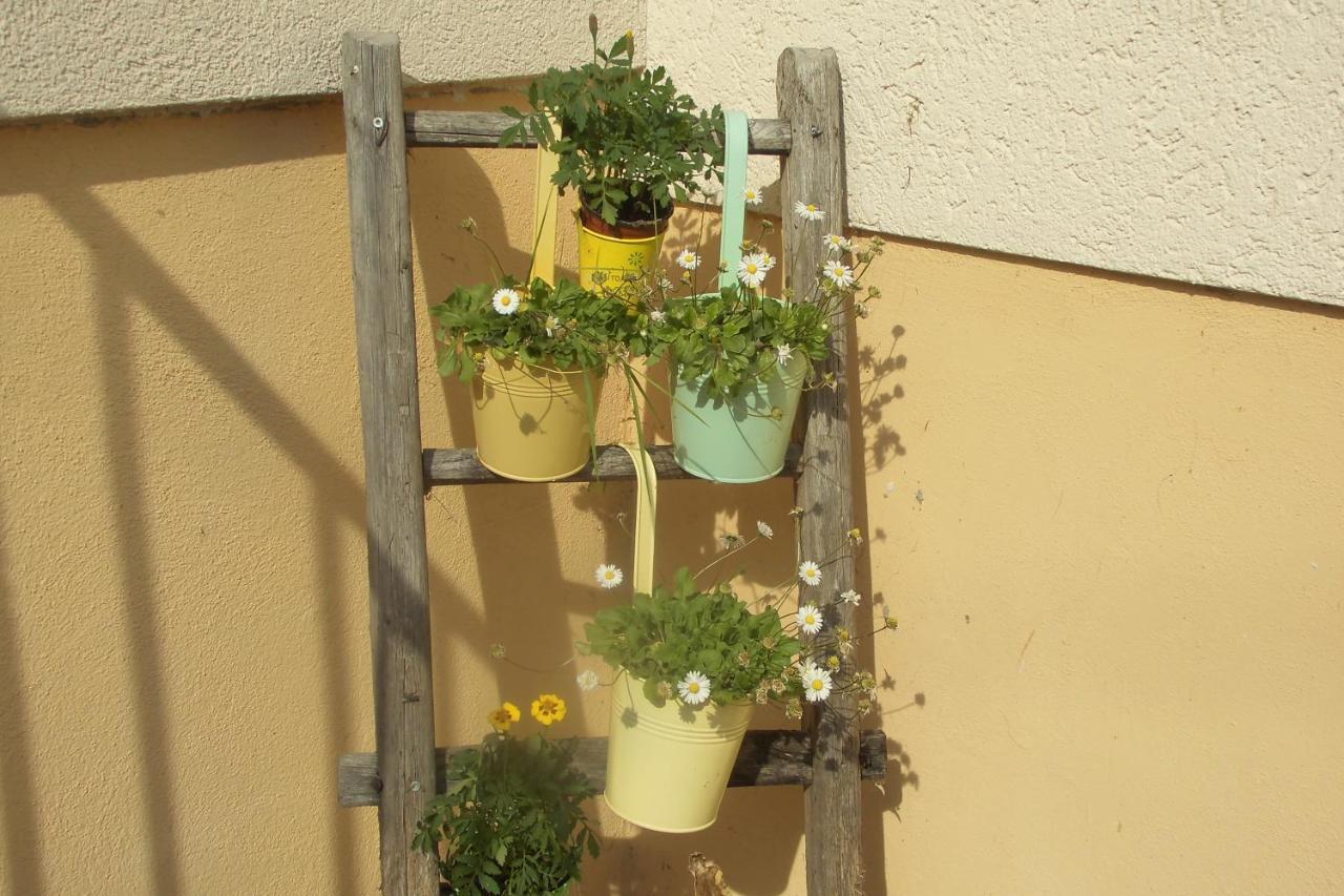 Appartement Urlaub Auf Dem Haenslehof à Elzach Extérieur photo
