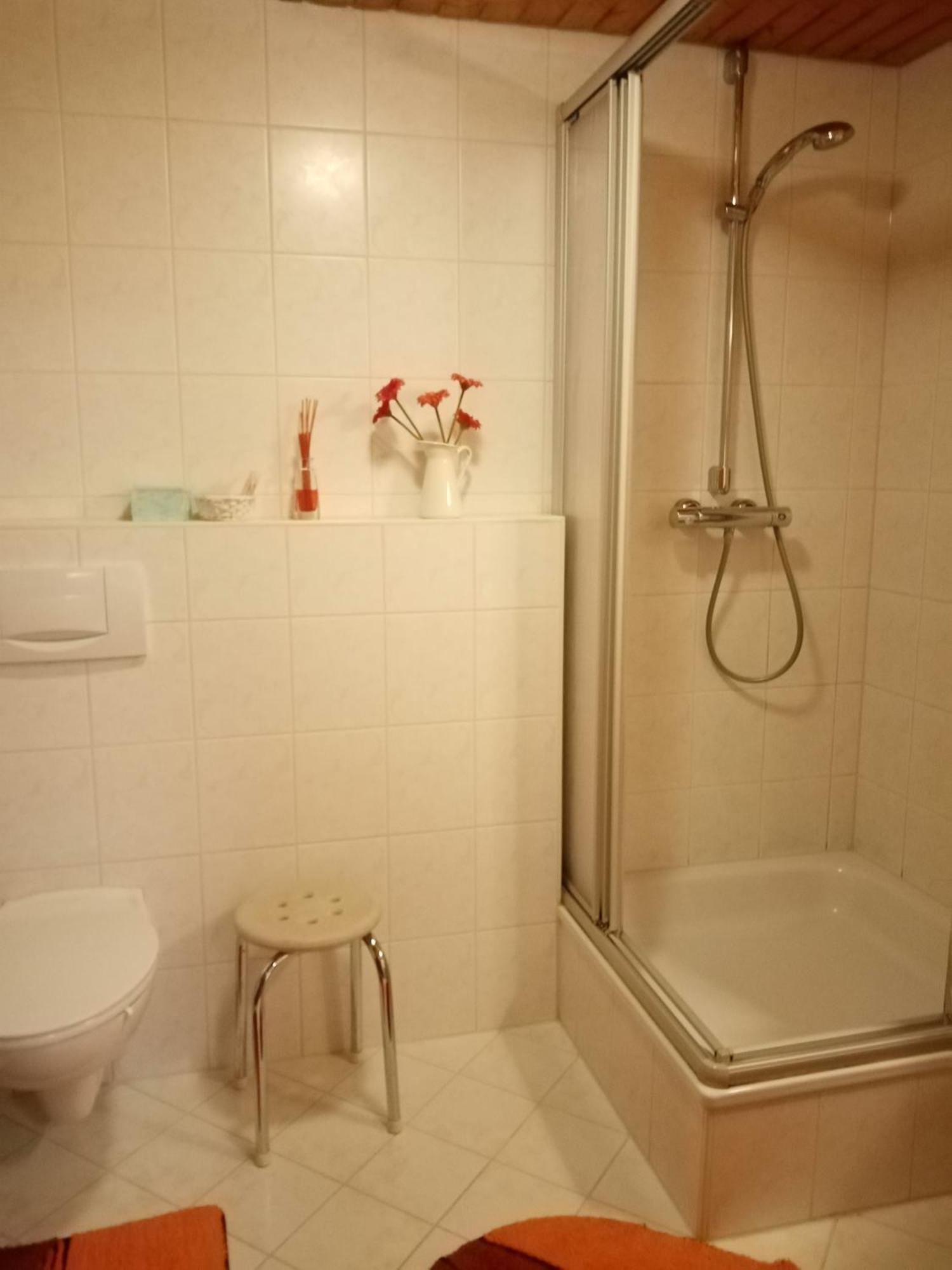 Appartement Urlaub Auf Dem Haenslehof à Elzach Extérieur photo