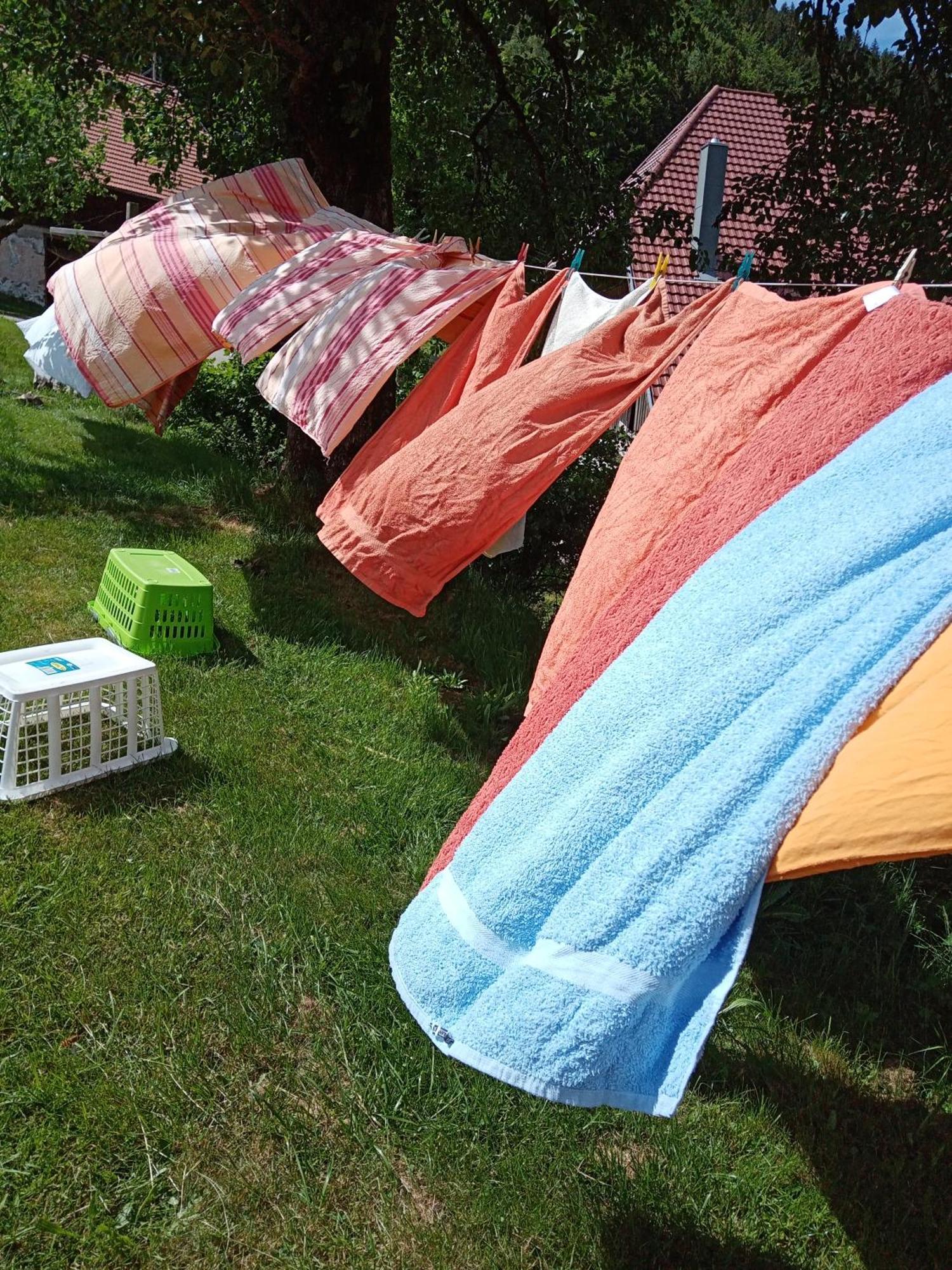 Appartement Urlaub Auf Dem Haenslehof à Elzach Extérieur photo
