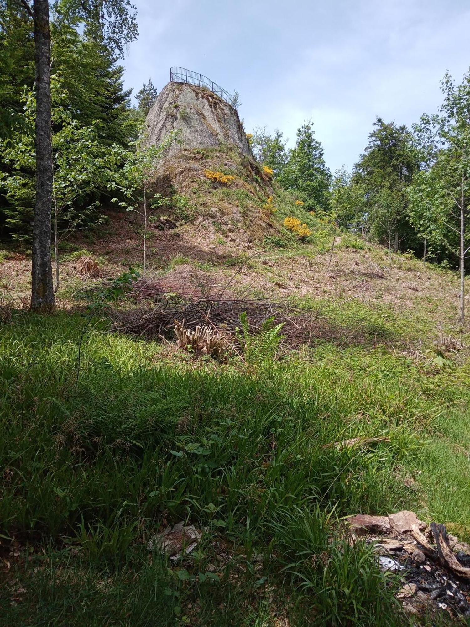 Appartement Urlaub Auf Dem Haenslehof à Elzach Extérieur photo