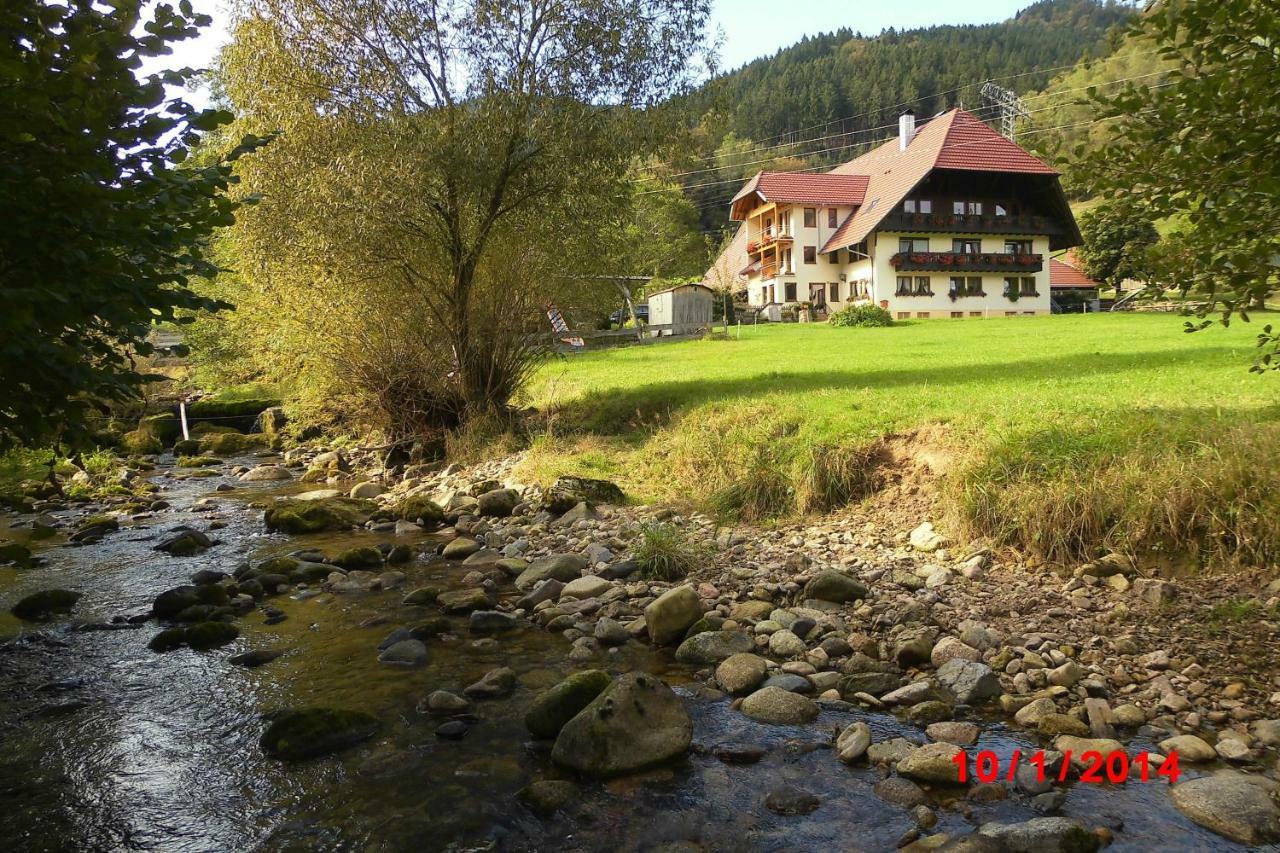 Appartement Urlaub Auf Dem Haenslehof à Elzach Extérieur photo