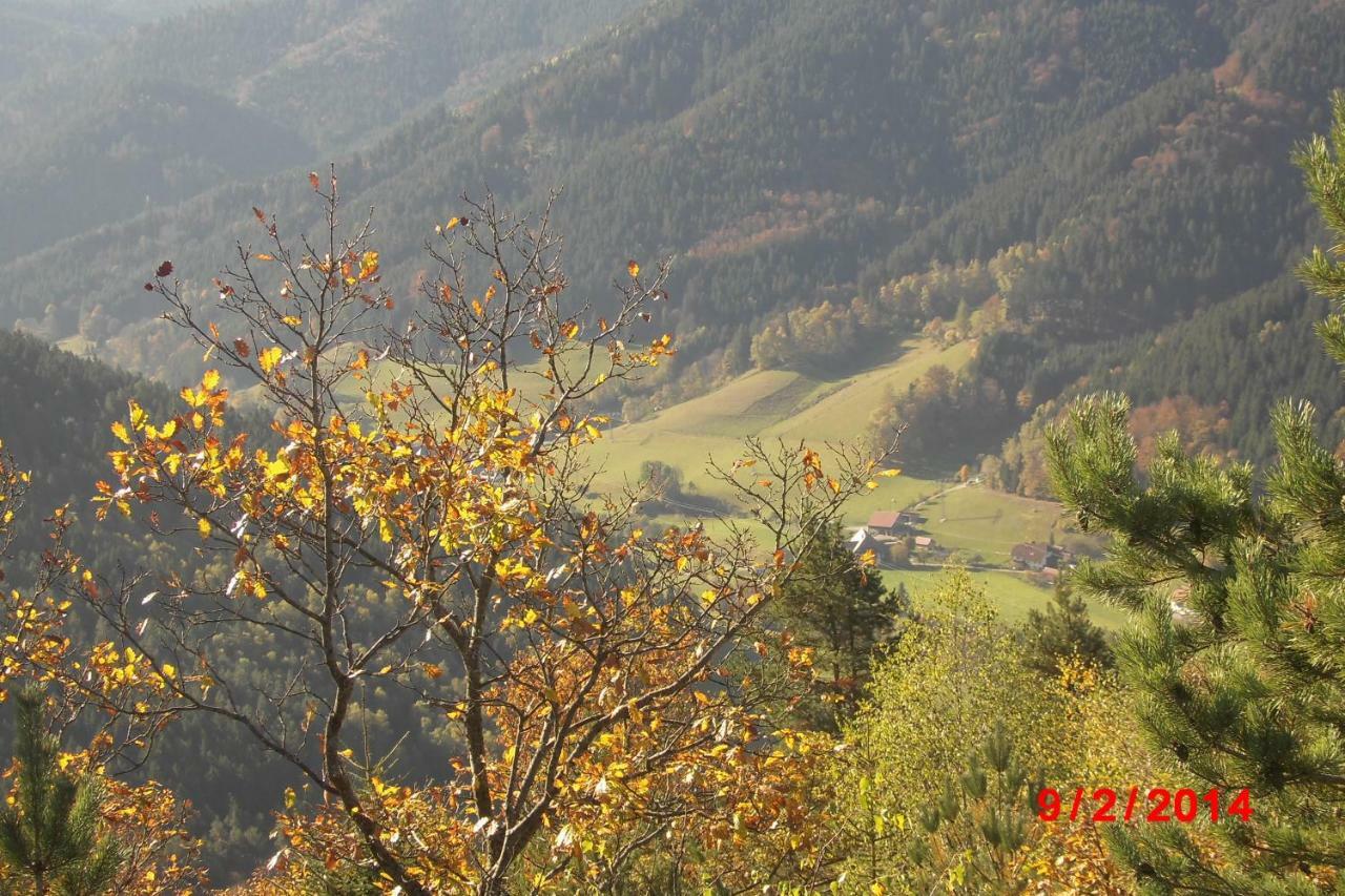 Appartement Urlaub Auf Dem Haenslehof à Elzach Extérieur photo
