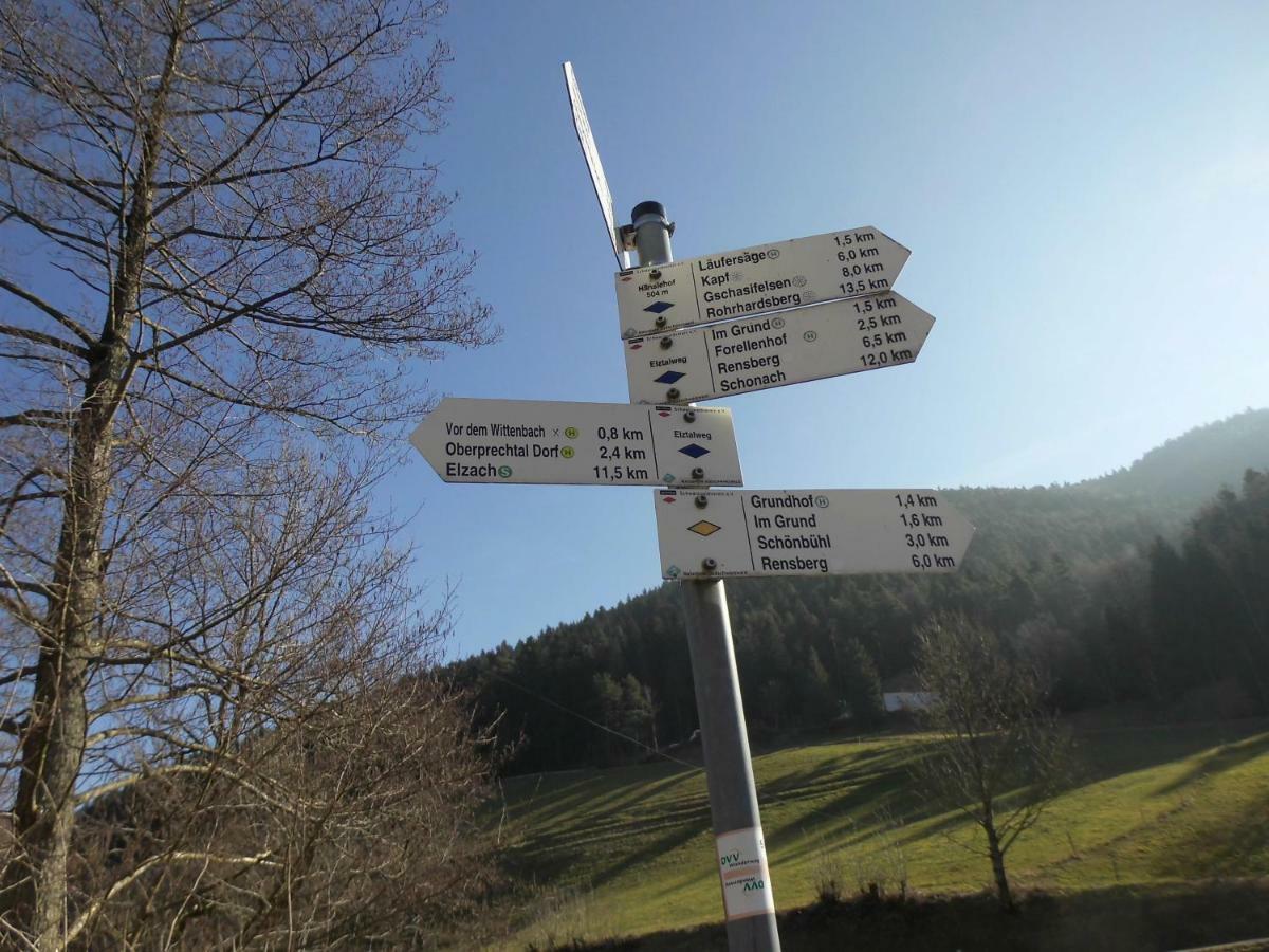 Appartement Urlaub Auf Dem Haenslehof à Elzach Extérieur photo